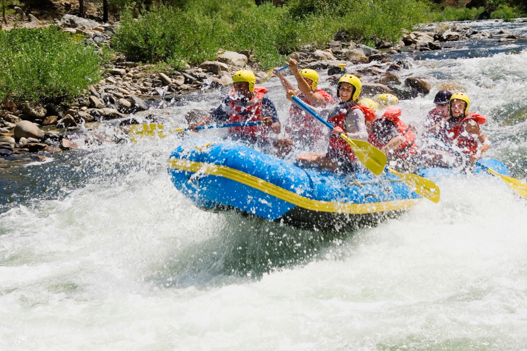 Rafters in a blue raft paddling through whitewater on the French Broad River