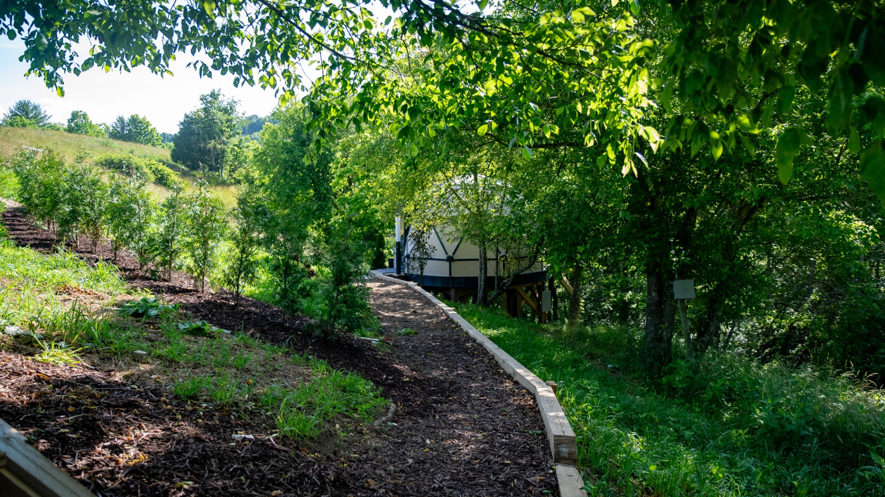 Mulched garden path winding through green foliage toward a geodesic dome tucked in the trees
