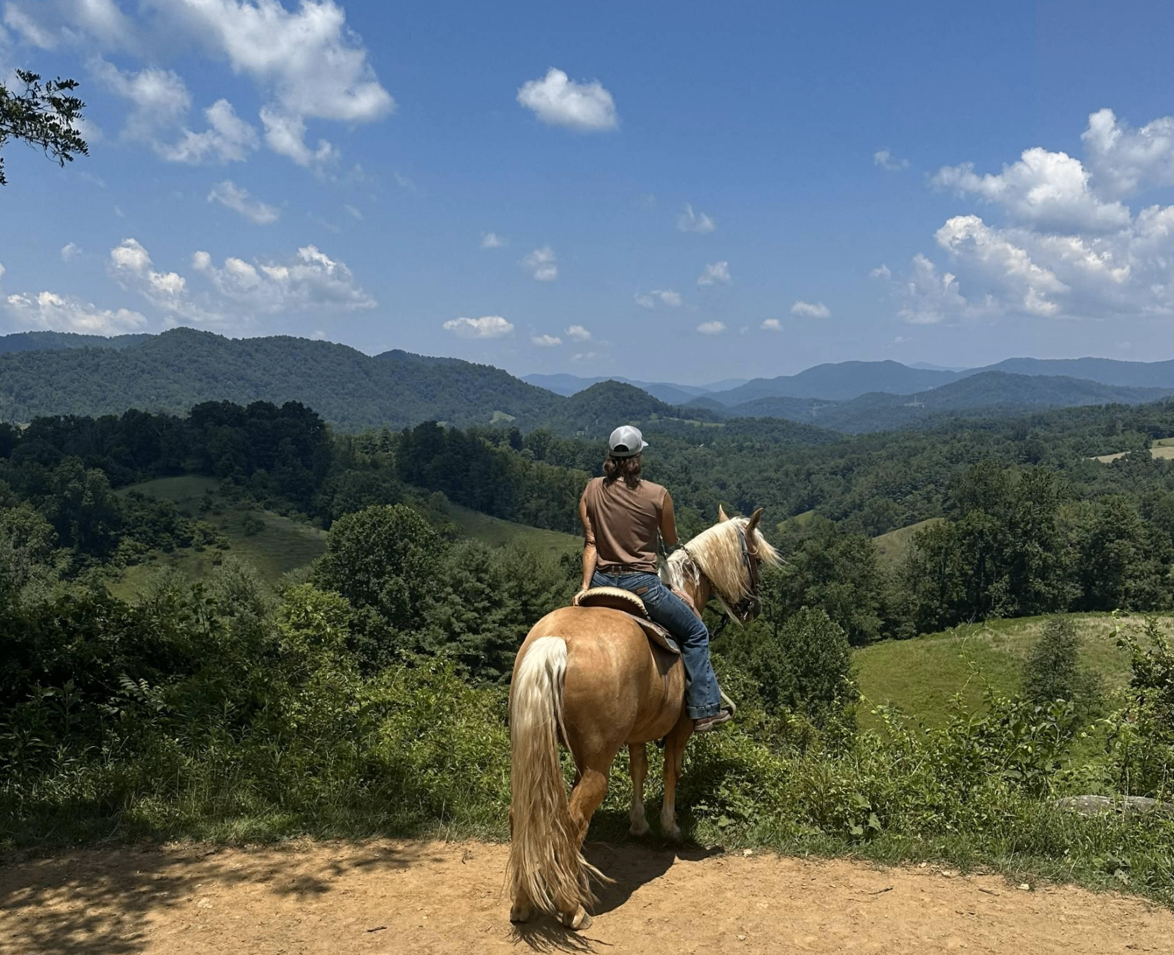 A rider on a palomino horse overlooking rolling Blue Ridge mountains