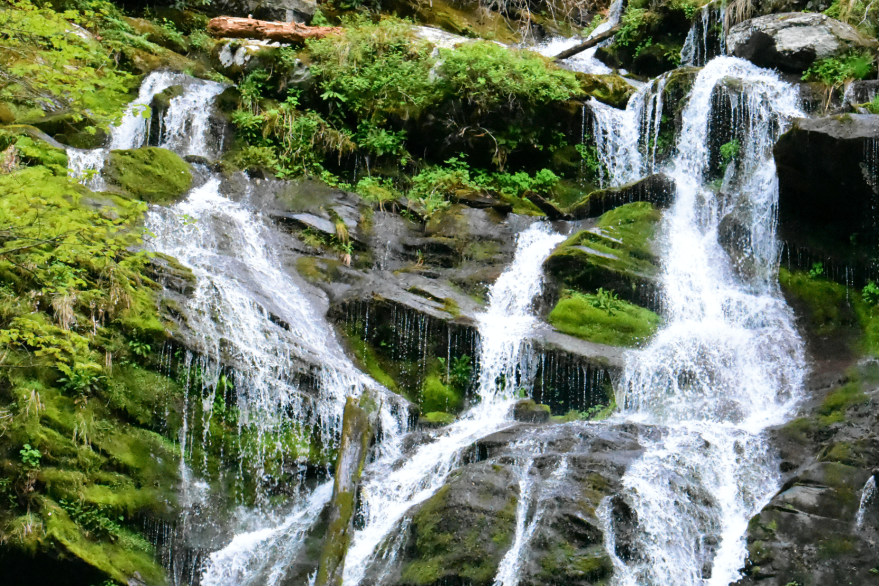 A multi-tiered waterfall cascading over mossy rocks in Pisgah National Forest