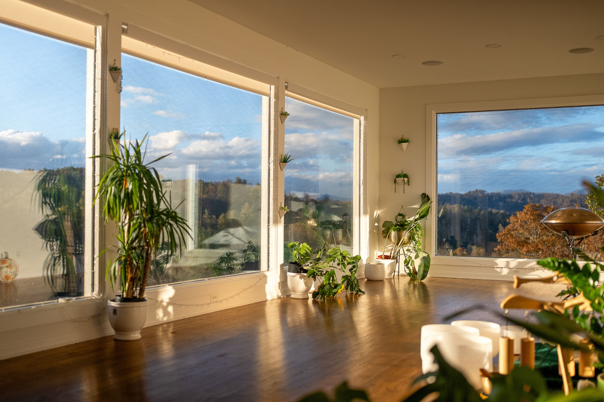 Sun-flooded glass sunroom with plants and mountain view