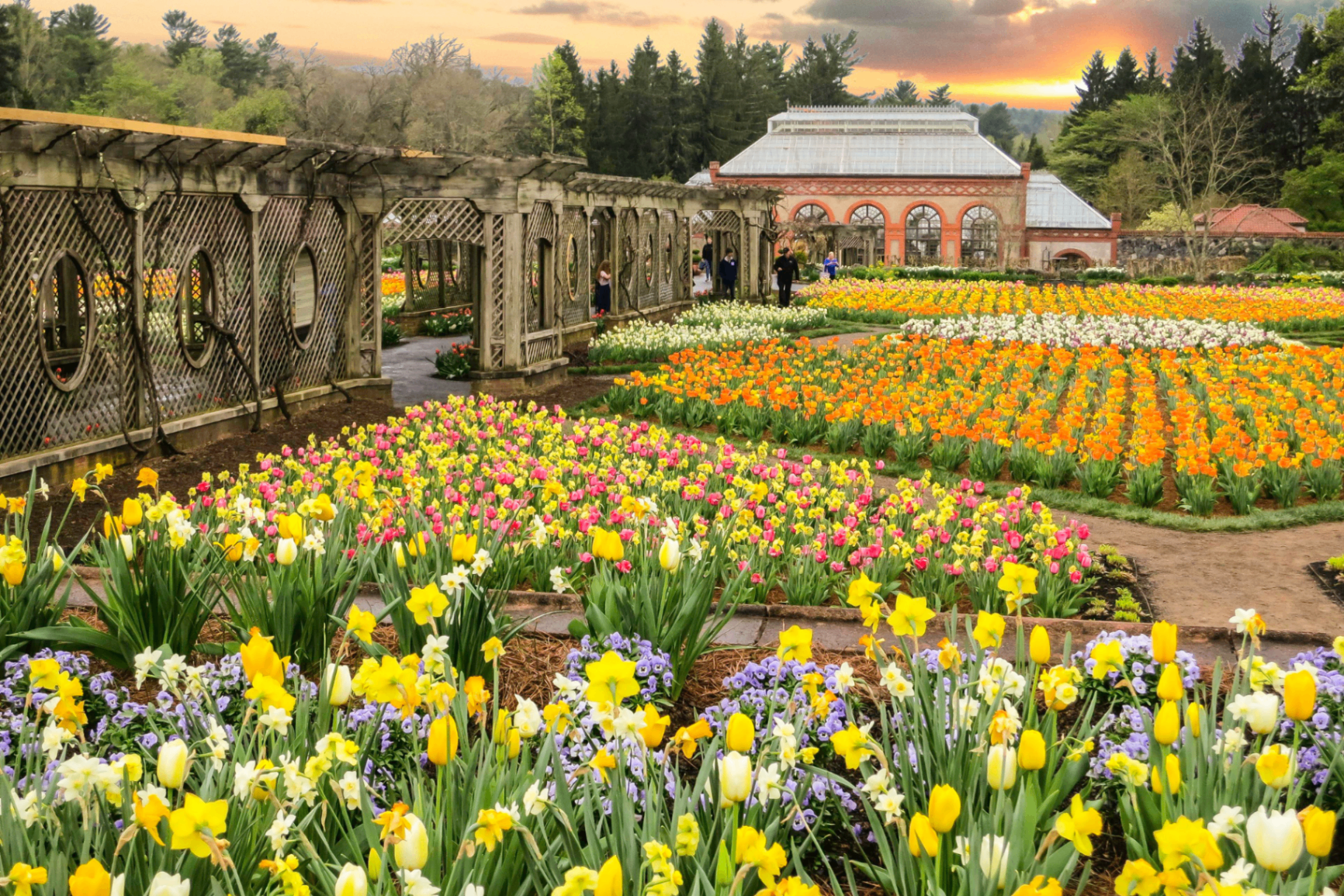 Colorful spring gardens at the Biltmore Estate conservatory