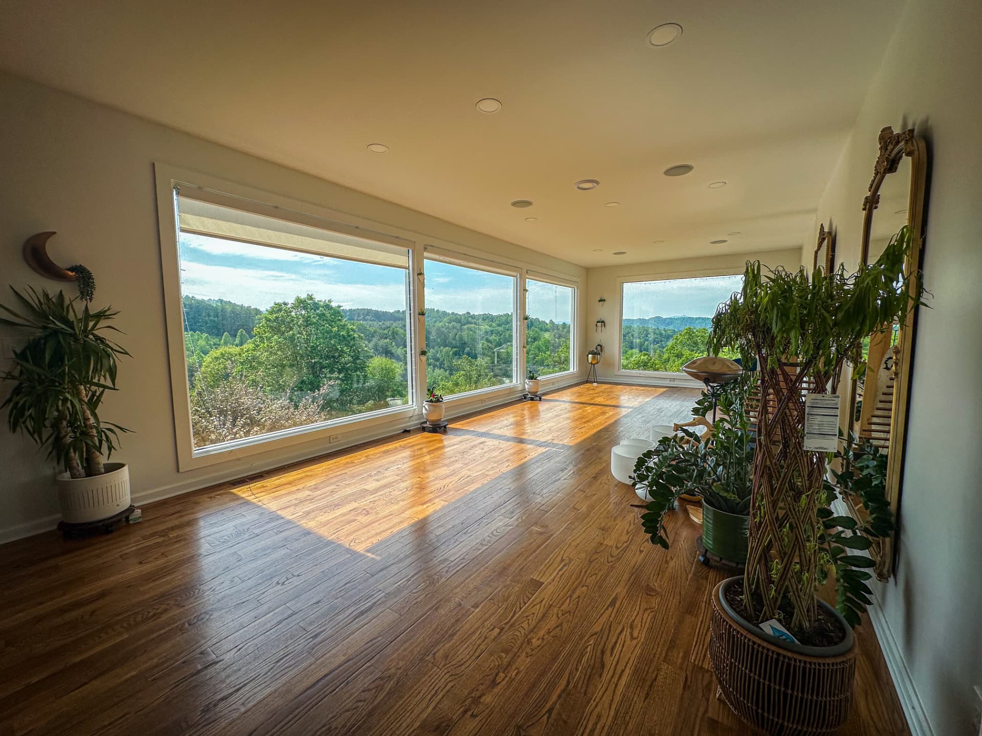 Light falling across the wide oak floor of the glass studio, with the ridge beyond the windows