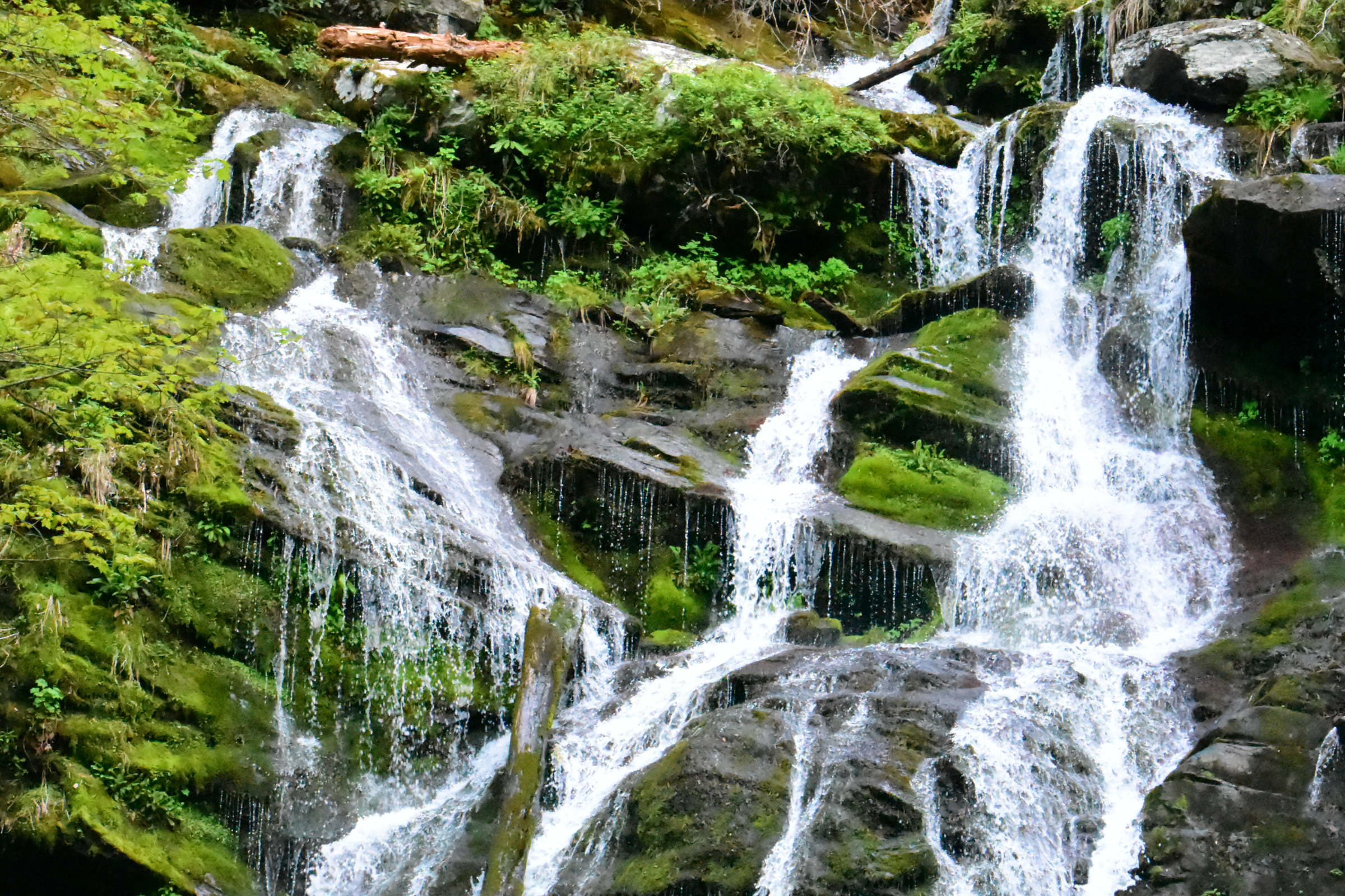 Catawba Falls NC