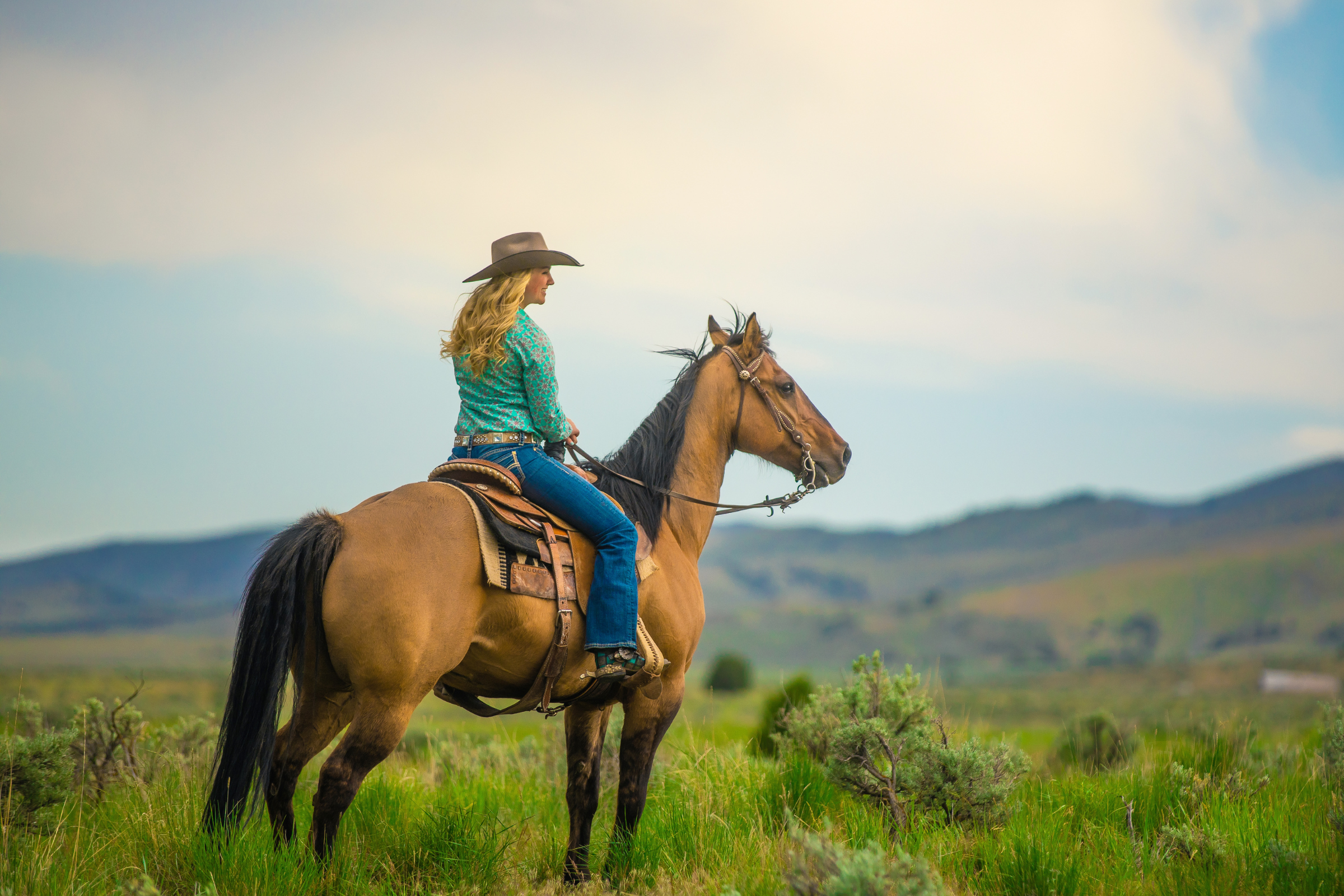Horseback Riding near Marshall